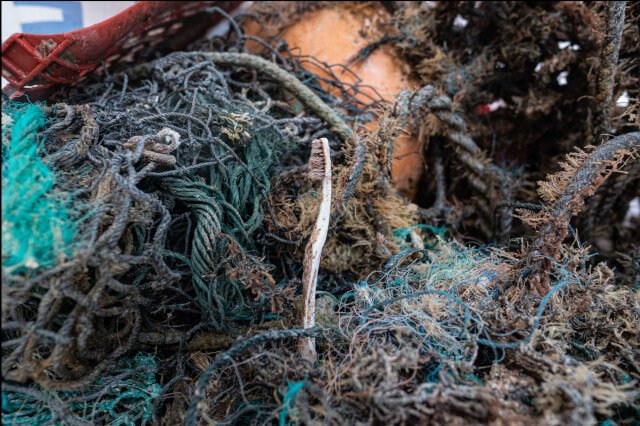 A toothbrush stuck in a ghost net in the GPGP. Photo: © The Ocean Cleanup