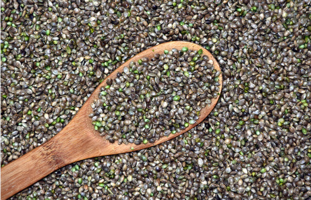 Hemp seeds are nutritious and healthy