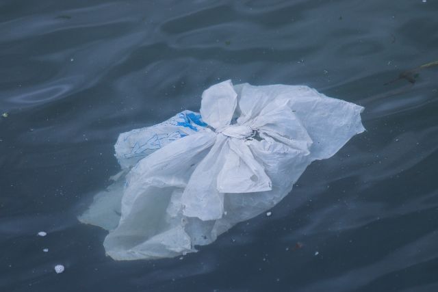 A plastic bag in the ocean