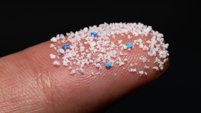 Microplastic particles are everywhere.
