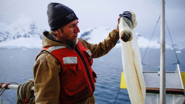 Antarctica, the last remaining unspoiled place on earth. Not anymore. Greenpeace found microplastics and hazardous chemicals in almost every sample they took.