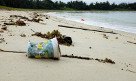 Seas & Straws - Plastic Beach