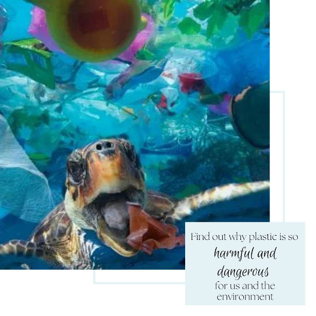 Plastic Pollution - Seas & Straws