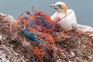 Seas & Straws - Brave new Plastic World