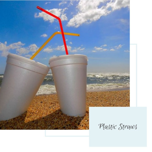 Plastic Straws - Seas & Straws