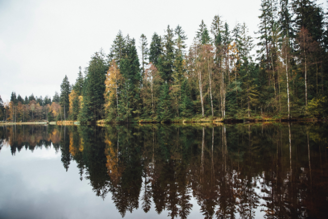 Sustainable Travel Habitat Restauration Sustainable Travel Habitat Restauration