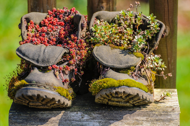 These old shoes found a second life as flower pots- beautiful. Seas & Straws