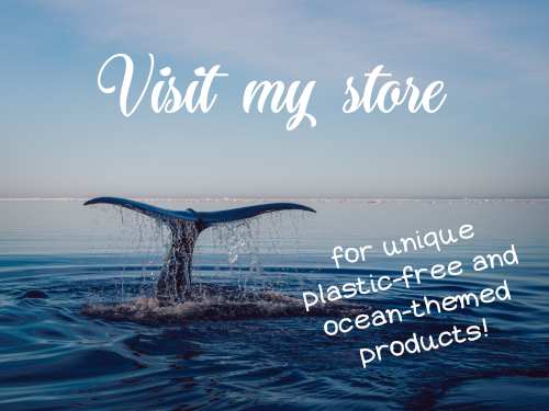 Seas & Straws store sign